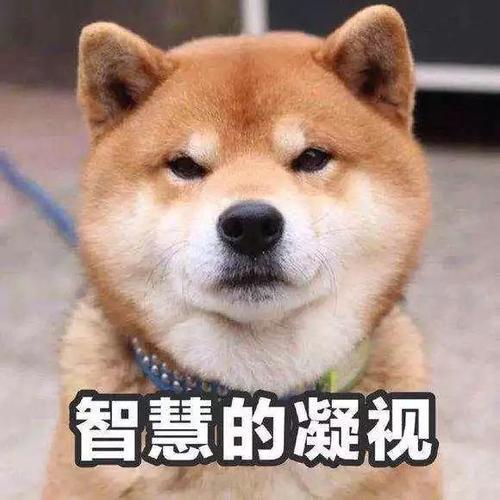 Ϊʲô˵ů²22(ͼ6)